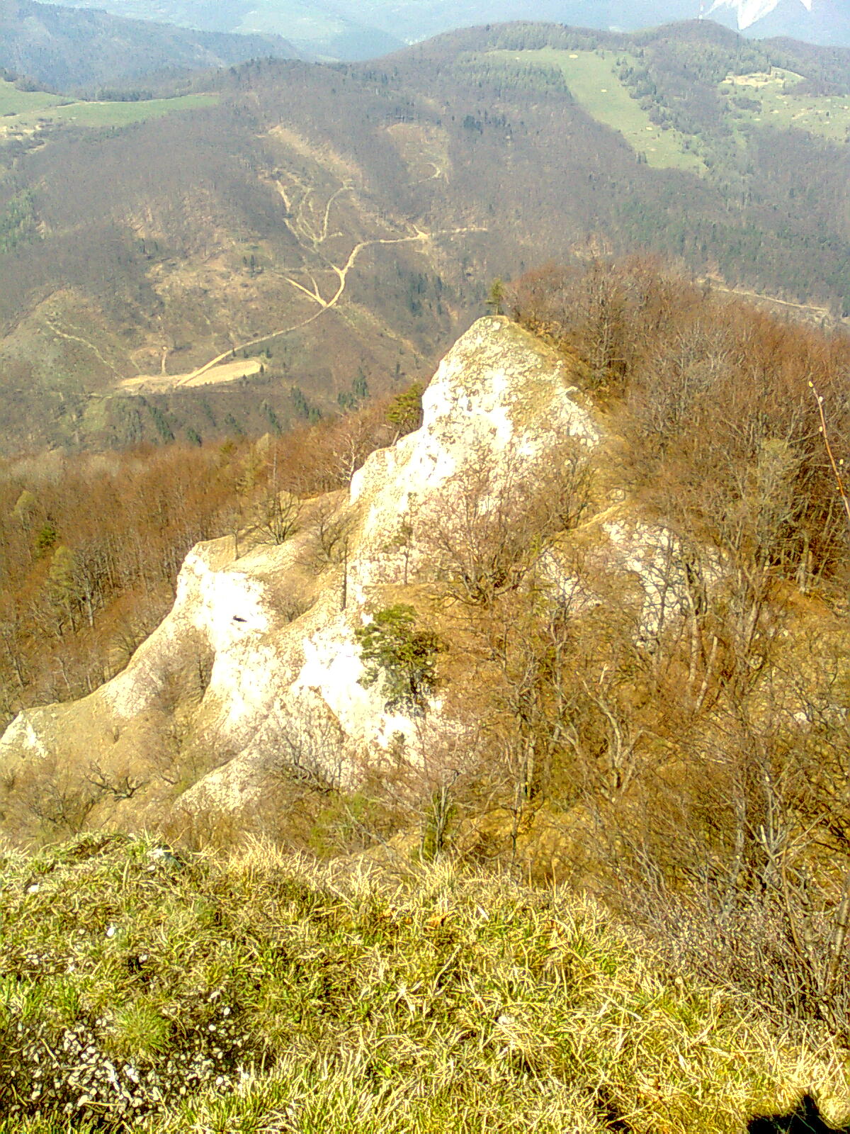 Snímka0523.jpg
