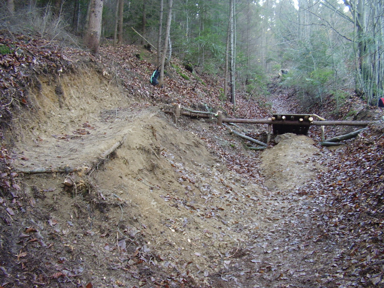 PA240005.JPG