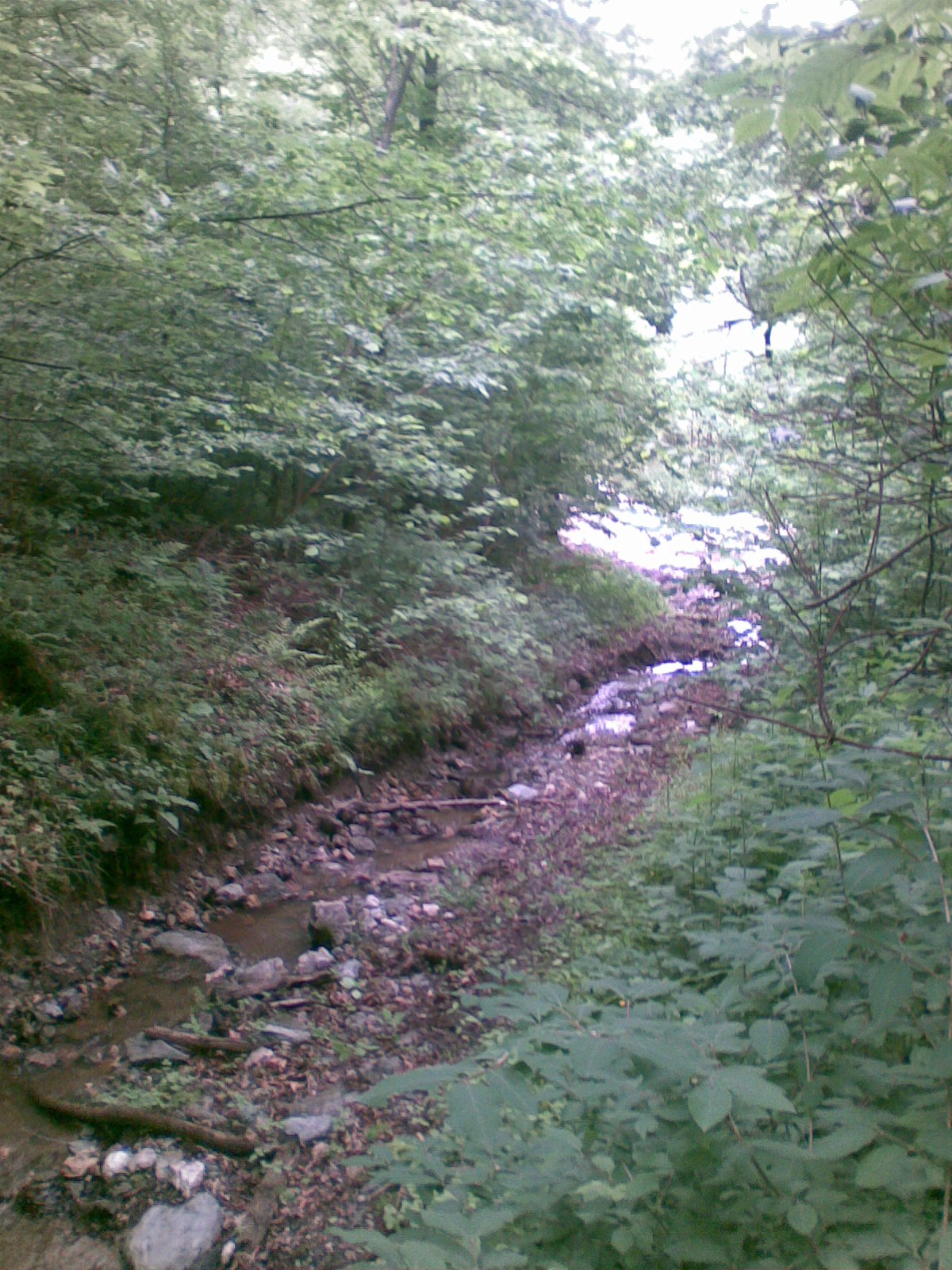 Snímka042.jpg