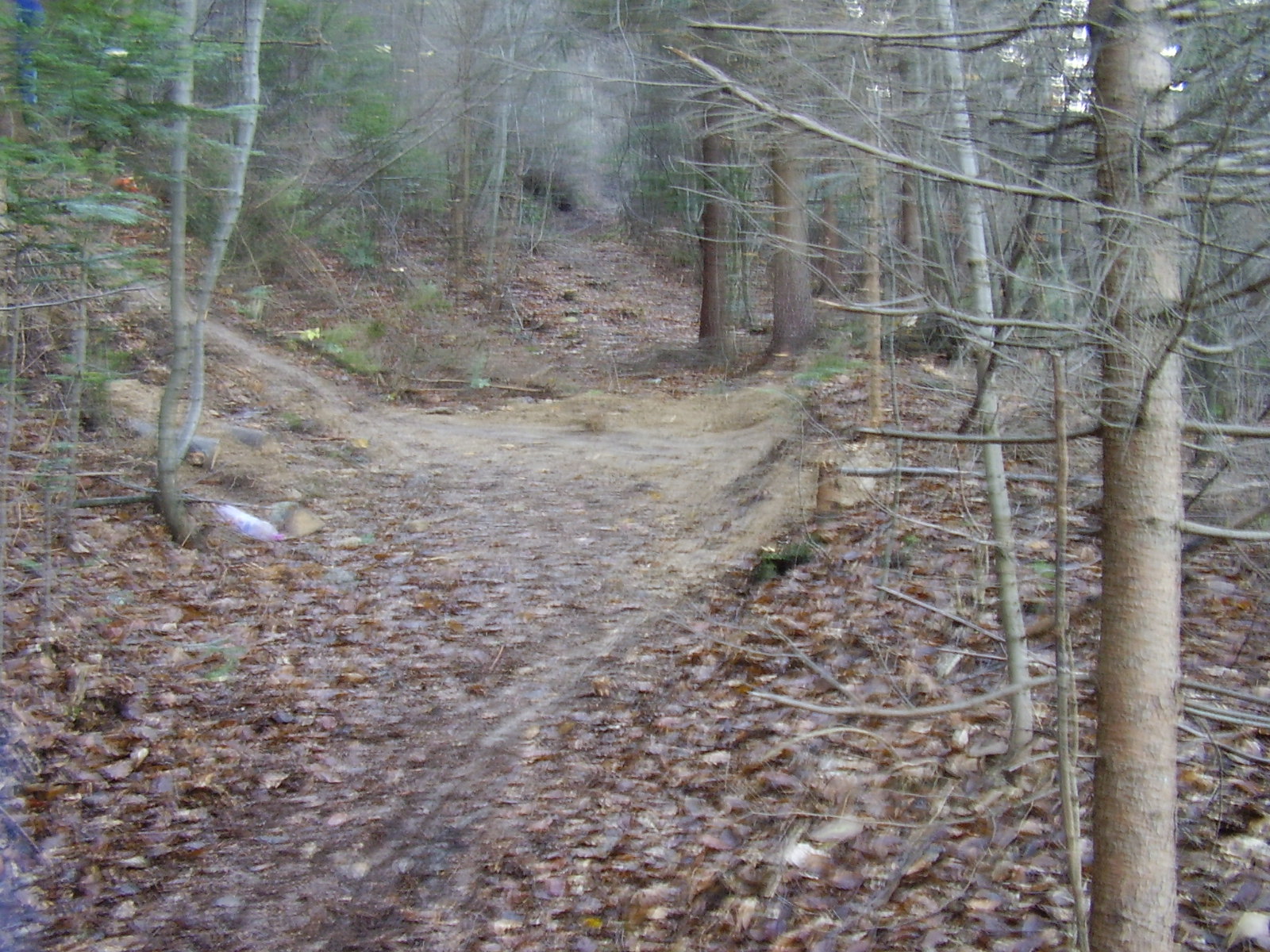 PA240004.JPG