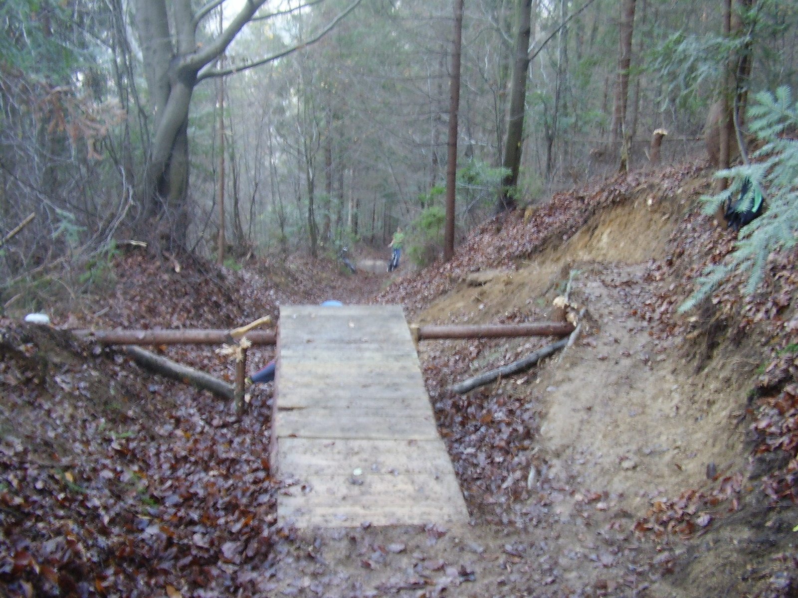 PA240006.JPG