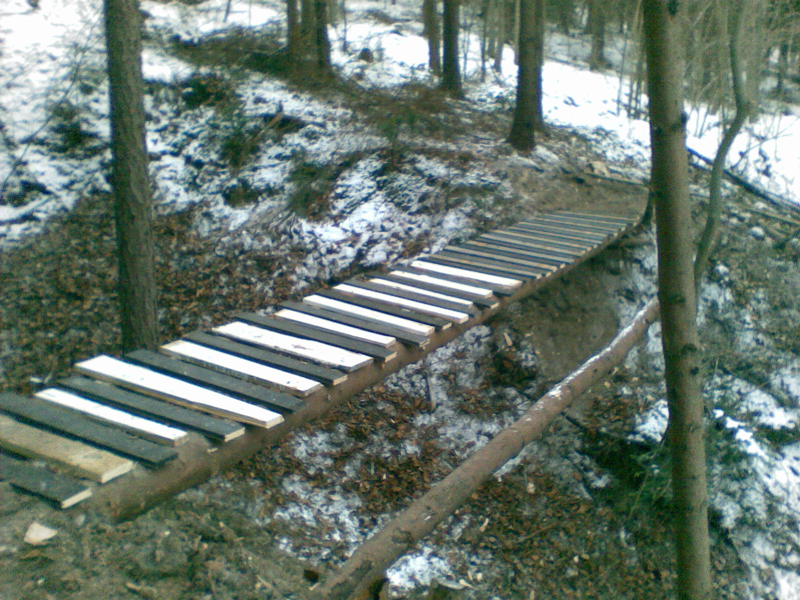 Snímka036.jpg